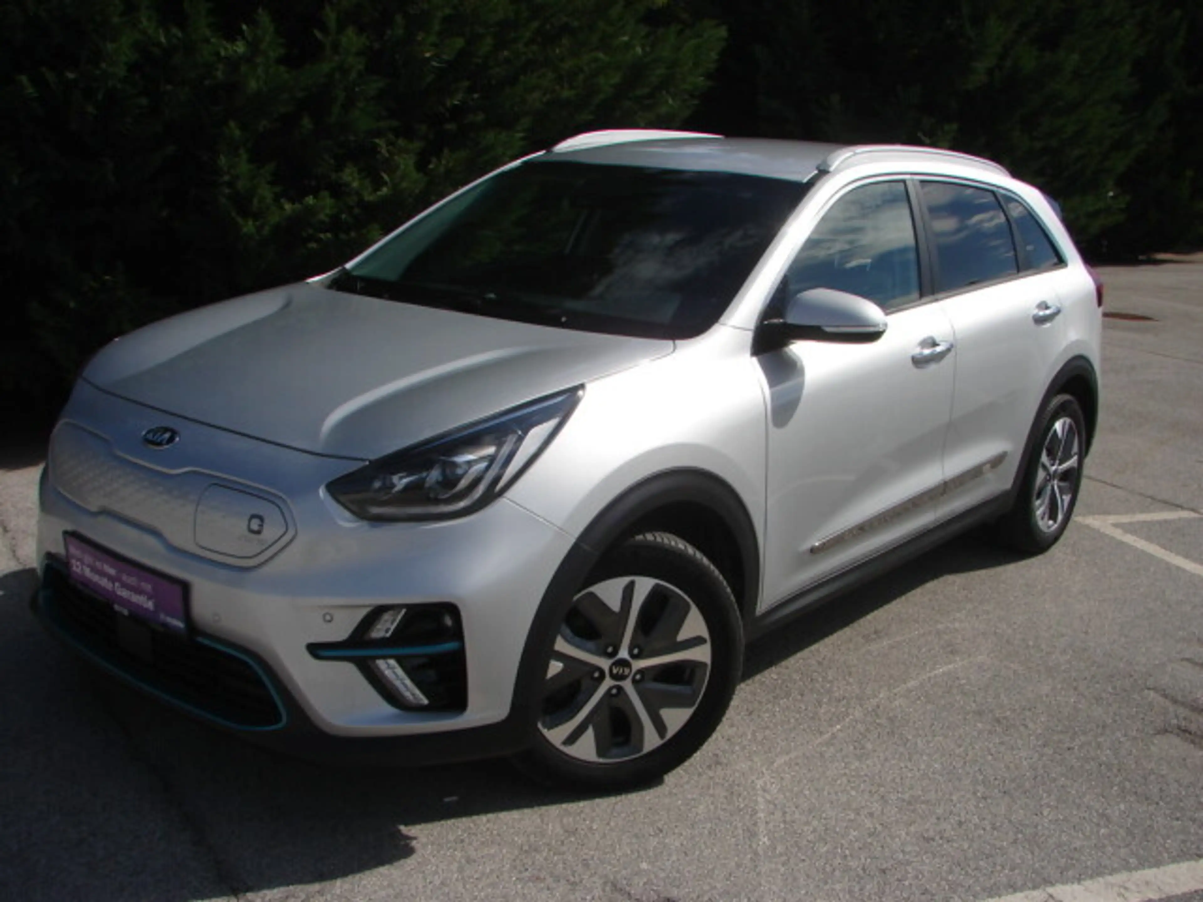 Kia e-Niro Niro EV 64kWh long Range Gold Aut.