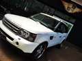 Land Rover Range Rover V8 Blanc - thumbnail 3