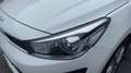 Kia Rio 1.0 T-GDI MHEV IMT 74KW CONCEPT 100CV 5P Blanco - thumbnail 18
