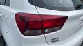 Kia Rio 1.0 T-GDI MHEV IMT 74KW CONCEPT 100CV 5P Blanc - thumbnail 19