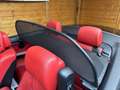 BMW 320 320i Cabrio * Individual * Sportpakket * Etc Negro - thumbnail 18