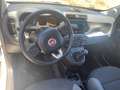 Fiat Panda Panda 1.2 Easy 69cv Bianco - thumbnail 3