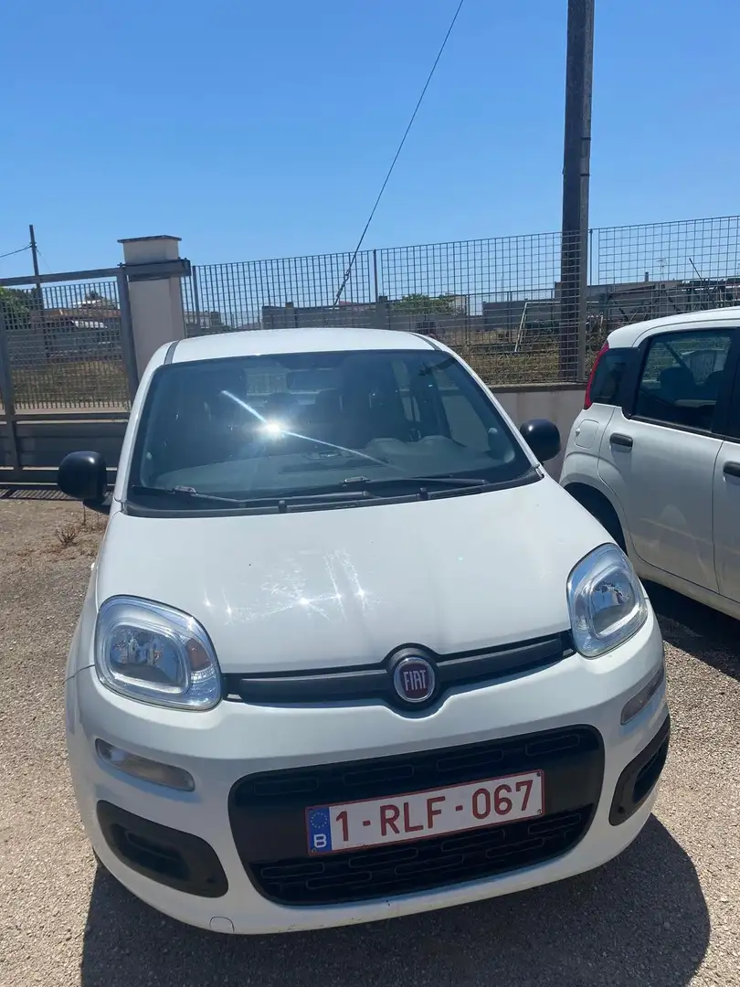 Fiat Panda Panda 1.2 Easy 69cv Bianco - 1