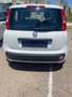 Fiat Panda Panda 1.2 Easy 69cv Bianco - thumbnail 5