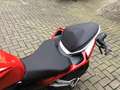 QJ Motor SRK 125 R Supersport,3 Jahre Garantie Rouge - thumbnail 12