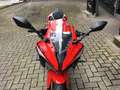 QJ Motor SRK 125 R Supersport,3 Jahre Garantie Rouge - thumbnail 14