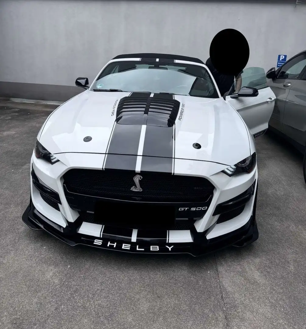 Ford Mustang Shelby Cabrio 2.3 - 2