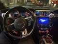 Ford Mustang Cabrio Shelby Look. 2.3L - thumbnail 8