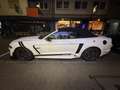 Ford Mustang Cabrio Shelby Look. 2.3L - thumbnail 5