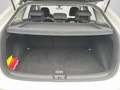 Volkswagen Taigo Style 1.5 TSI DSG | 17" in Schwarz | ACC | Weiß - thumbnail 15