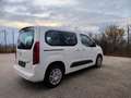 Opel Combo Life 1.5D 100 CV Edition IVA Inclusa Navi Telecam Full! Bianco - thumbnail 6
