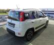 Fiat Panda 1.0 FireFly S&S Hybrid City Life Bianco - thumbnail 3
