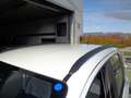 Fiat Panda 1.0 FireFly S&S Hybrid City Life Bianco - thumbnail 7