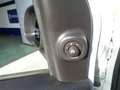 Fiat Panda 1.0 FireFly S&S Hybrid City Life Bianco - thumbnail 9