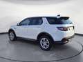 Land Rover Discovery Sport D150 FWD LED Navi Proconnectet s Blanc - thumbnail 4