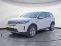 Land Rover Discovery Sport D150 FWD LED Navi Proconnectet s Blanc - thumbnail 2