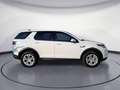 Land Rover Discovery Sport D150 FWD LED Navi Proconnectet s Blanc - thumbnail 6