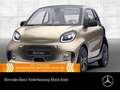 smart forTwo EQ 60kWed passion SHZ Pano PDC+Kamera Klima Beige - thumbnail 1