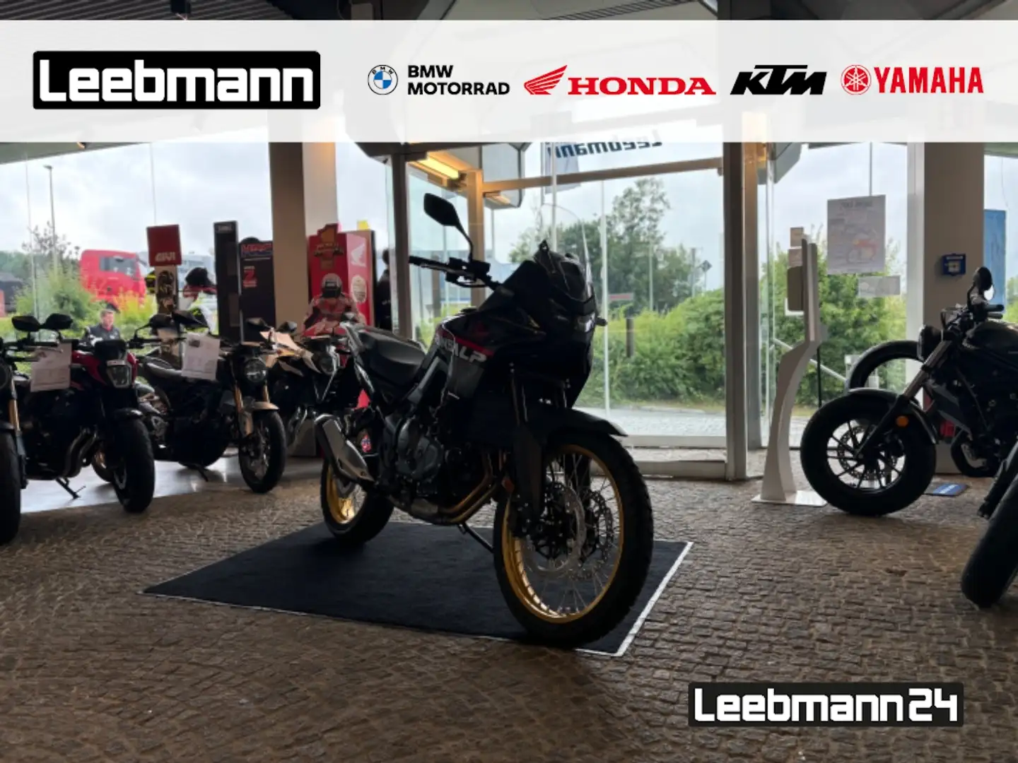 Honda XLV 750 XL 750 Transalp 2025 Gris - 1