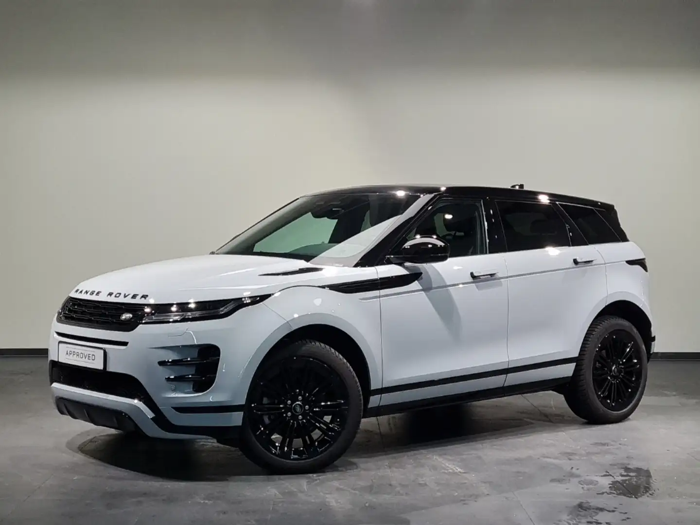 Land Rover Range Rover Evoque D200 Dynamic SE Grau - 2
