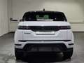 Land Rover Range Rover Evoque D200 Dynamic SE Grau - thumbnail 8