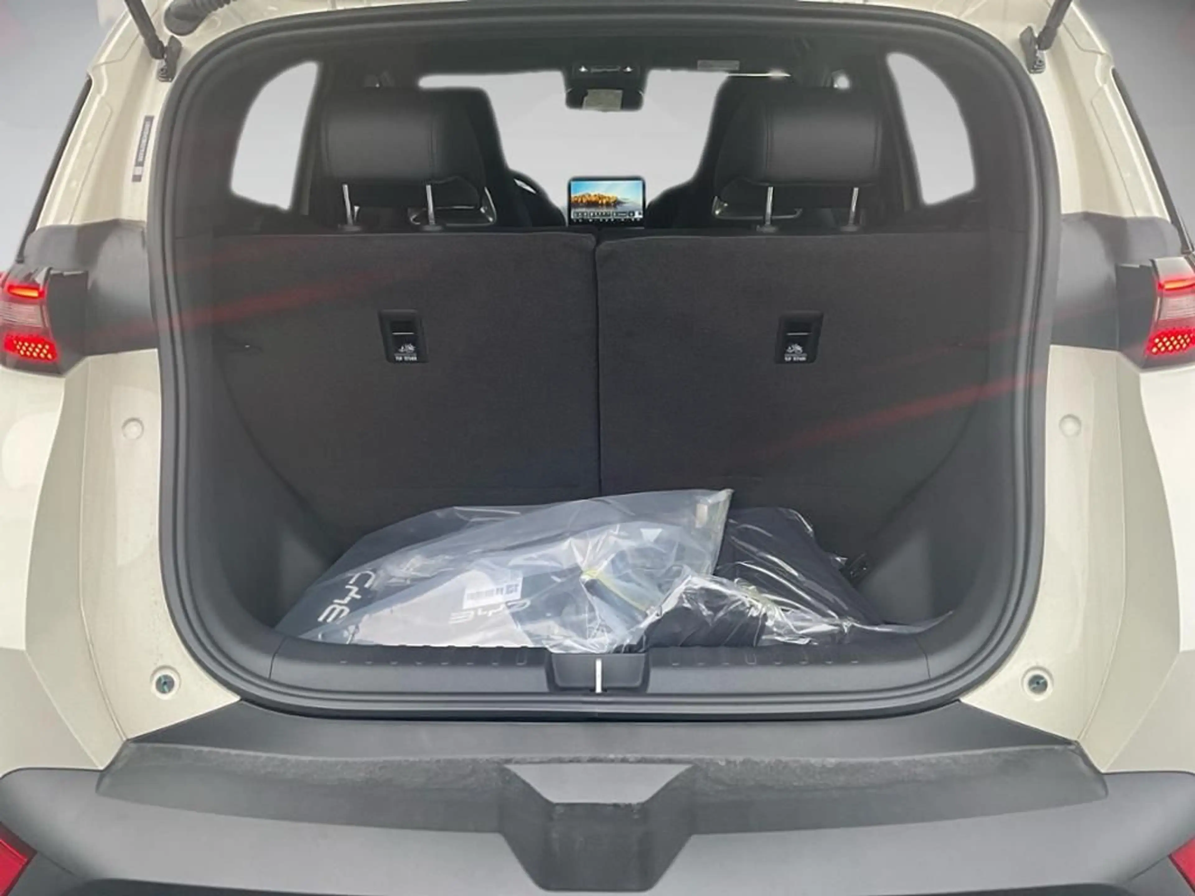 BYD Dolphin Surf Comfort 360 ACC AUT Fernlichtass. — photo 12