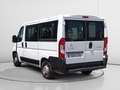 Citroen Jumper 30 L1H1 Blue-HDi 120 Blanco - thumbnail 4