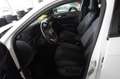 Volkswagen T-Roc T-ROC 1,5 TSI DSG R-LINE BLACK PANO RFK NAVI Blanco - thumbnail 8