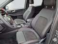 Ford Kuga ST-LINE X 2.5 FHEV *Vollausstattung* Grau - thumbnail 6