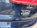 Audi Q3 Q3  2.0 tdi Advanced Plus quattro 177cv s-tronic Blu/Azzurro - thumbnail 4