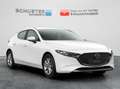 Mazda 3 2025 Prime 140PS LED NAVI HEADUP MRCC APC&AA Weiß - thumbnail 10