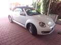 Volkswagen Beetle Cabrio 2.0 TDI 150PS sehr guter Zustand Alb - thumbnail 1