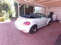 Volkswagen Beetle Cabrio 2.0 TDI 150PS sehr guter Zustand Alb - thumbnail 3
