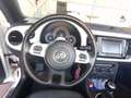 Volkswagen Beetle Cabrio 2.0 TDI 150PS sehr guter Zustand Alb - thumbnail 4