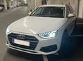 Audi A4 A4 Avant 35 TDI S-tronic Weiß - thumbnail 4