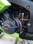 Honda CBR 600 RR Zielony - thumbnail 11