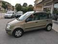 Fiat Panda 1.2 Dynamic Bronzo - thumbnail 2