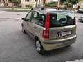 Fiat Panda 1.2 Dynamic Bronzo - thumbnail 3