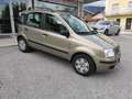 Fiat Panda 1.2 Dynamic Bronzo - thumbnail 7