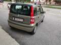 Fiat Panda 1.2 Dynamic Bronzo - thumbnail 4
