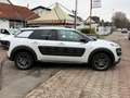 Citroen C4 Cactus Shine *Scheckheft* Kamera* SHZ* Tempmt Blanc - thumbnail 4