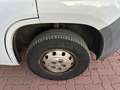 Fiat Ducato 2,0 Kasten L1H1 *NAVI*PDC+Cam*1-HAND*AHK Blanc - thumbnail 14