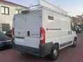 Fiat Ducato 2,0 Kasten L1H1 *NAVI*PDC+Cam*1-HAND*AHK Blanc - thumbnail 10