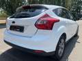 Ford Focus 1.6TDCi Edition 115 Blanc - thumbnail 7