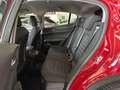 Alfa Romeo Stelvio SUPER Q4 2.2 190CV AT8 FULL OPTIONAL KM. CERT. Rosso - thumbnail 14