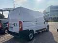 Fiat Ducato 35 2.3 140 CV L2H2 Bianco - thumbnail 9