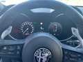 Alfa Romeo Stelvio Stelvio 2.2 t Veloce Q4 210cv auto Grigio - thumbnail 15