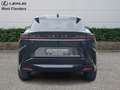 Lexus RZ Privilege Line + Dimming Panor Zwart - thumbnail 6