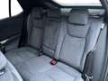 Lexus RZ Privilege Line + Dimming Panor Zwart - thumbnail 8