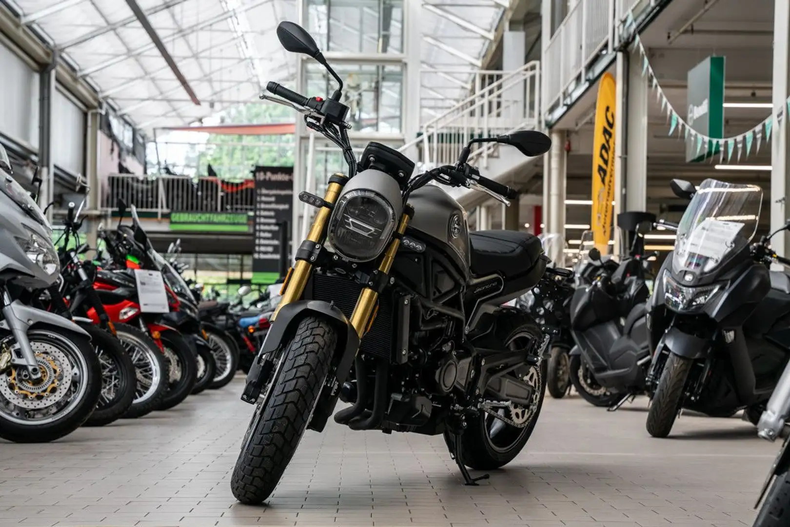 Benelli Leoncino 800 , sofort lieferbar, Lieferservice Grau - 2